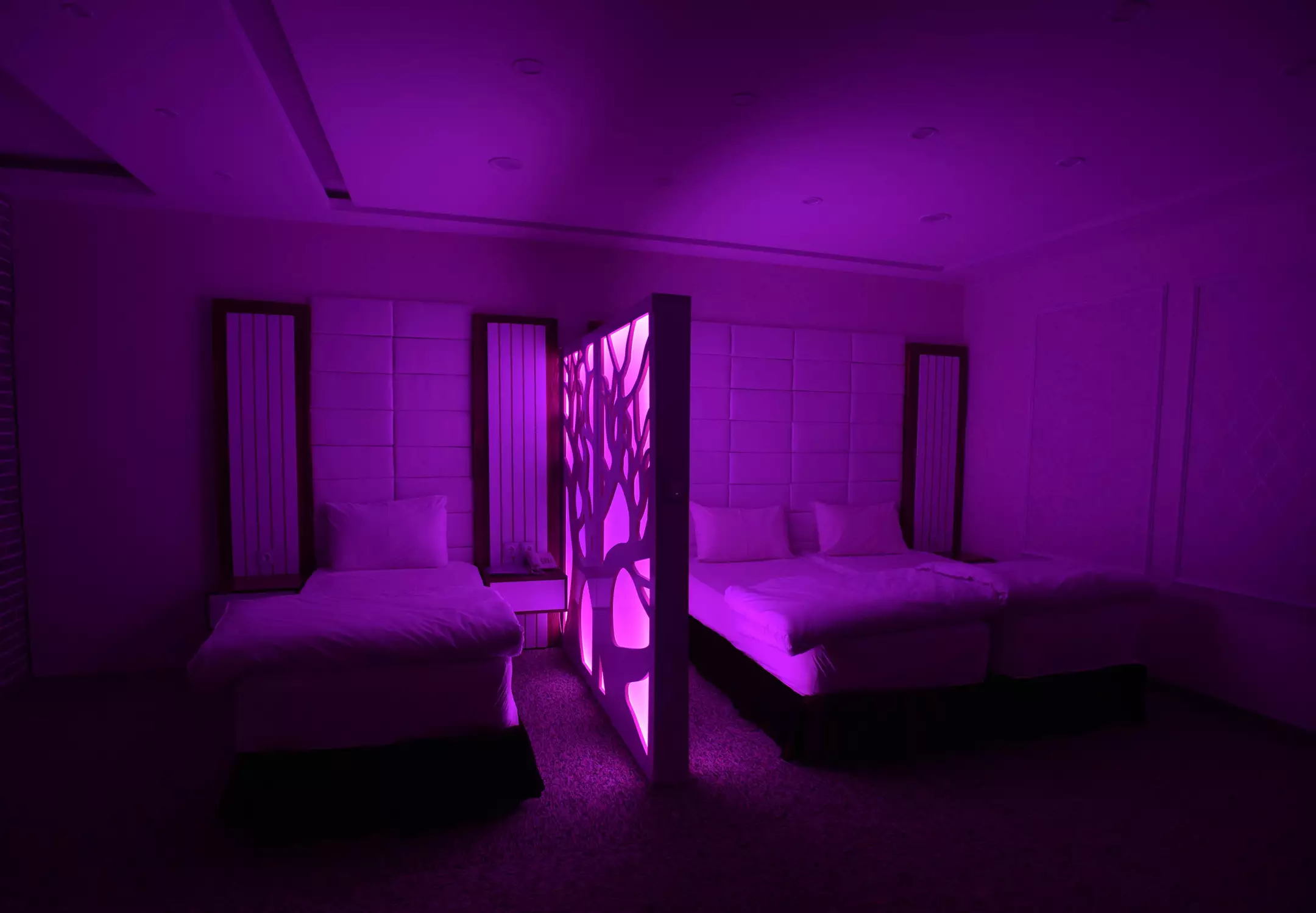 Alibaba https://cdn.alibaba.ir/ostorage/hotel-accommodation-images/6964ad8b46ae9d8e6fb499a5_اتاق چهارتخته بدون پنجره ممتاز.webp